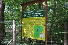Rezerwat przyrody Choczewskie Cisy